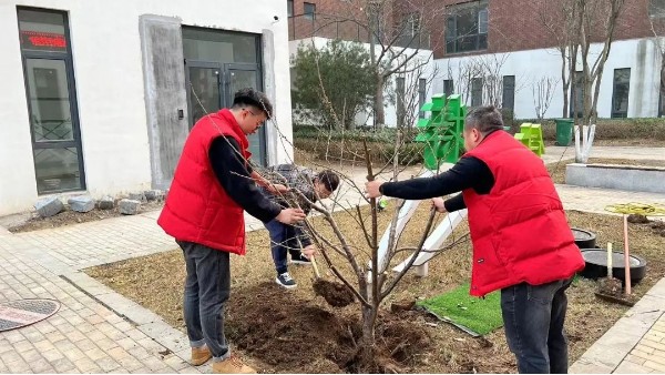 3月12日植樹節(jié) 播種希望 承載夢想